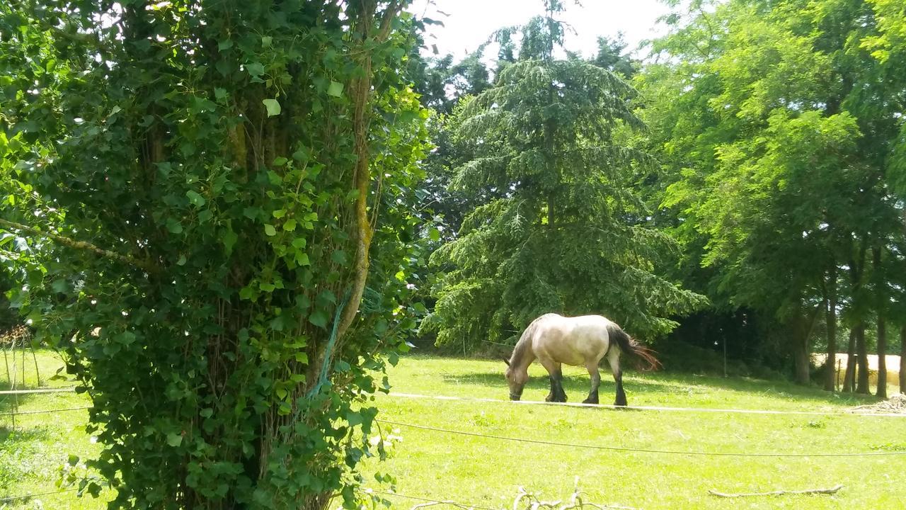Manoir De Vilaines Varennes  Esterno foto
